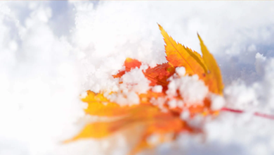 12月のイチおしスタッフ